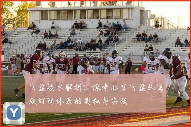 飞盘战术解析：探索北京飞盘队高效盯防体系的奥秘与实践