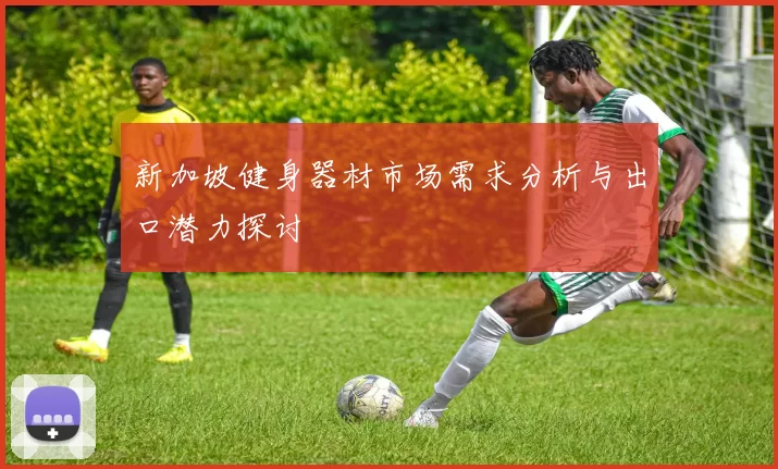 新加坡健身器材市场需求分析与出口潜力探讨