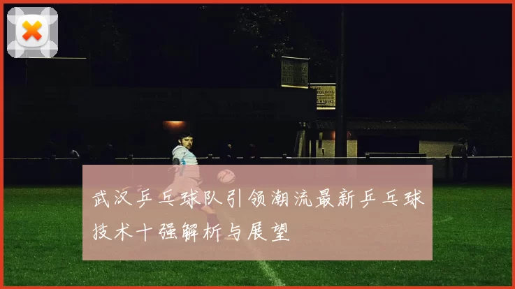 武汉乒乓球队引领潮流最新乒乓球技术十强解析与展望