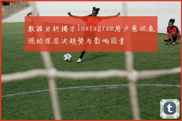 数据分析揭示Instagram用户意识表现的深层次趋势与影响因素