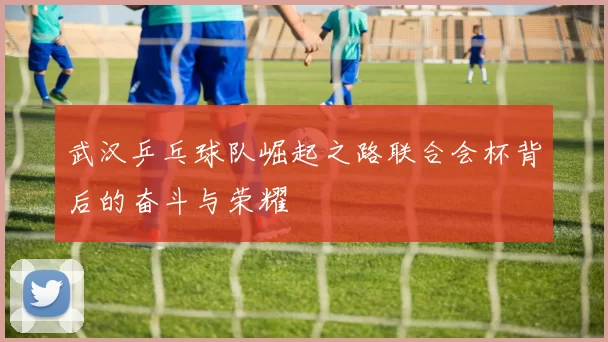 武汉乒乓球队崛起之路联合会杯背后的奋斗与荣耀