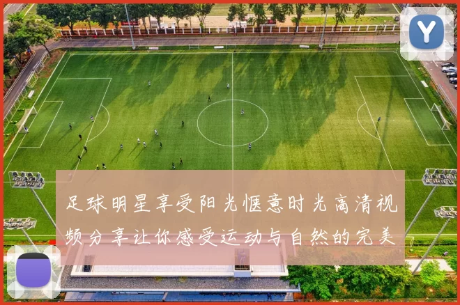 足球明星享受阳光惬意时光高清视频分享让你感受运动与自然的完美结合