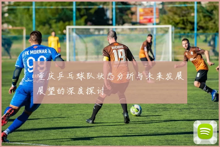 重庆乒乓球队状态分析与未来发展展望的深度探讨