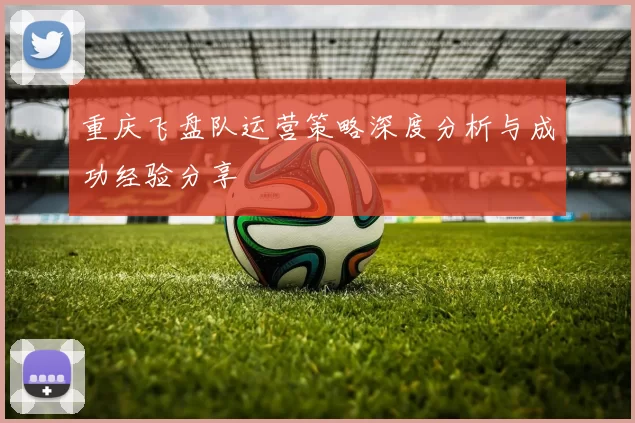 重庆飞盘队运营策略深度分析与成功经验分享