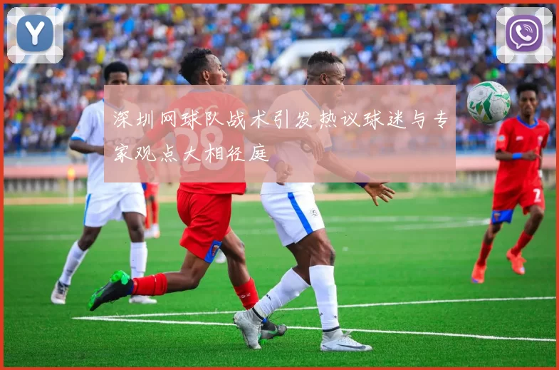 深圳网球队战术引发热议球迷与专家观点大相径庭