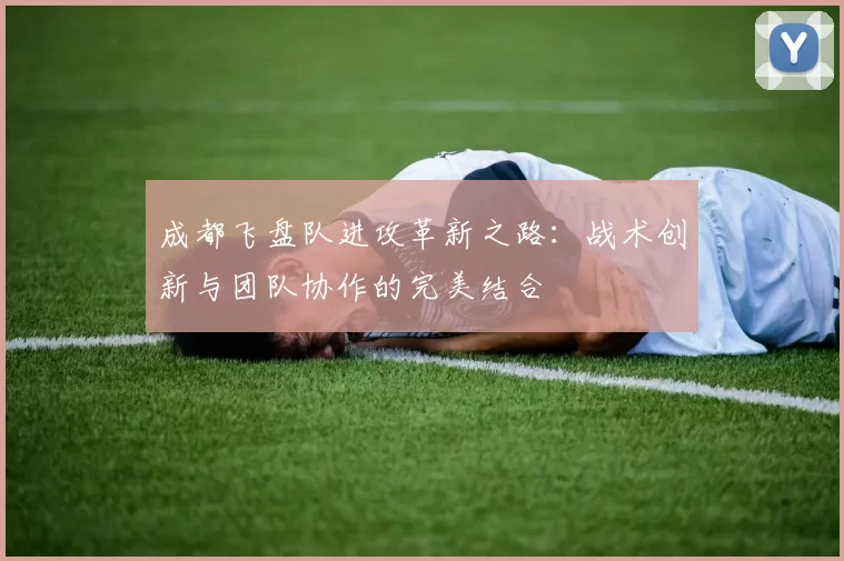 成都飞盘队进攻革新之路：战术创新与团队协作的完美结合