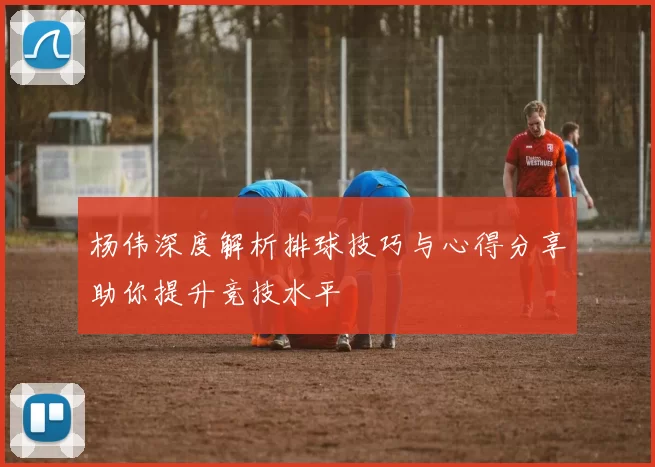 杨伟深度解析排球技巧与心得分享助你提升竞技水平