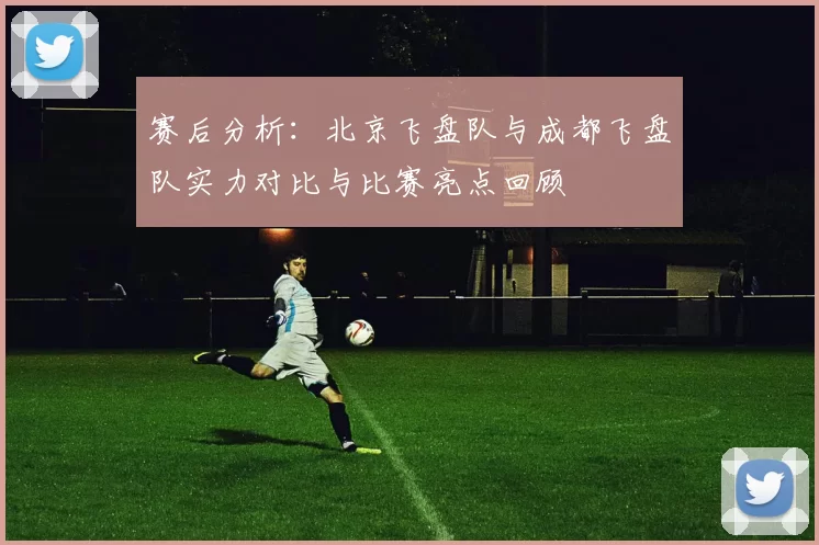 赛后分析：北京飞盘队与成都飞盘队实力对比与比赛亮点回顾
