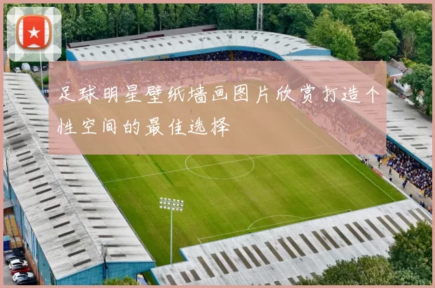 足球明星壁纸墙画图片欣赏打造个性空间的最佳选择