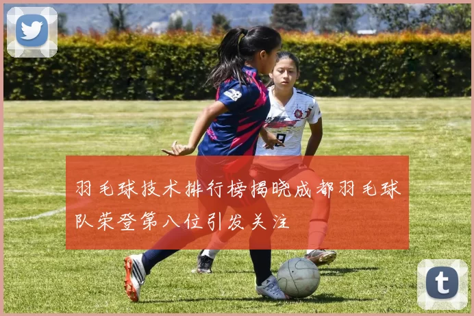 羽毛球技术排行榜揭晓成都羽毛球队荣登第八位引发关注