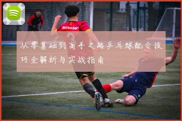 从零基础到高手之路乒乓球配合技巧全解析与实战指南