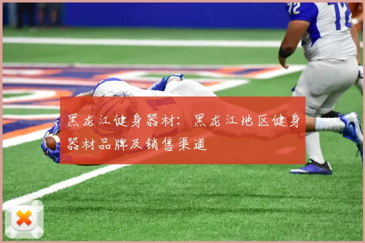 黑龙江健身器材：黑龙江地区健身器材品牌及销售渠道
