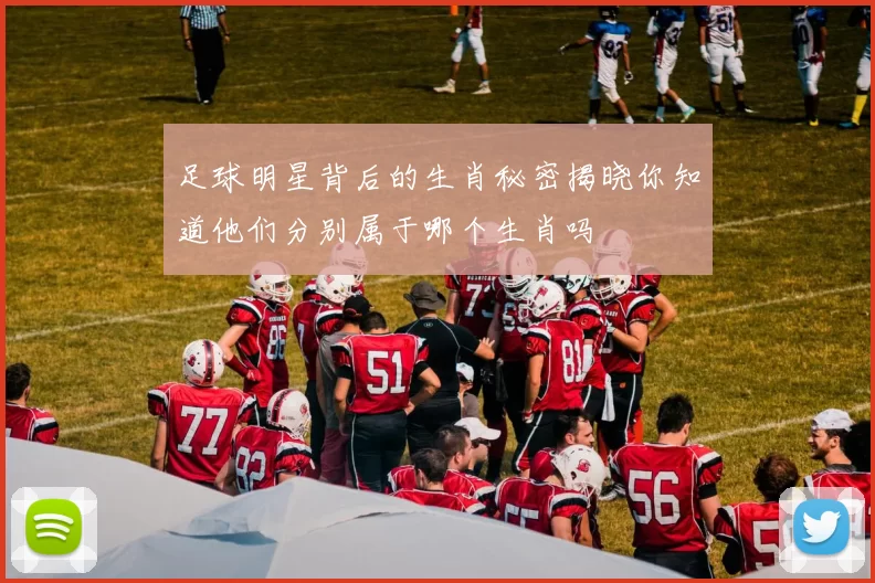 足球明星背后的生肖秘密揭晓你知道他们分别属于哪个生肖吗
