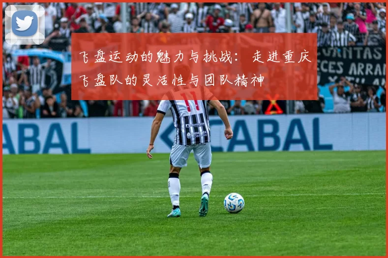 飞盘运动的魅力与挑战：走进重庆飞盘队的灵活性与团队精神