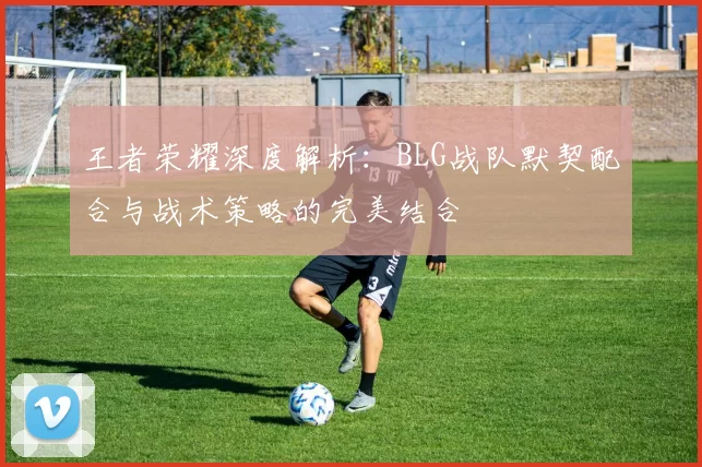 王者荣耀深度解析：BLG战队默契配合与战术策略的完美结合