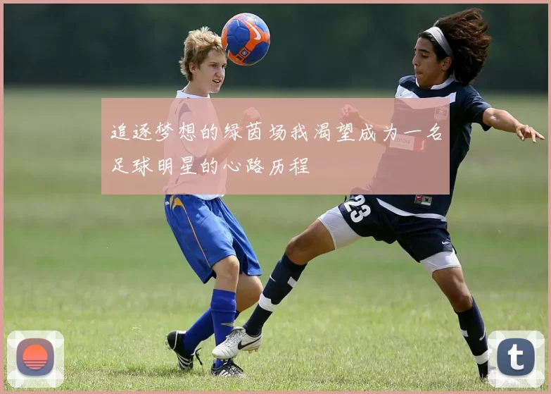 追逐梦想的绿茵场我渴望成为一名足球明星的心路历程
