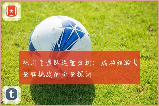 杭州飞盘队运营分析：成功经验与面临挑战的全面探讨