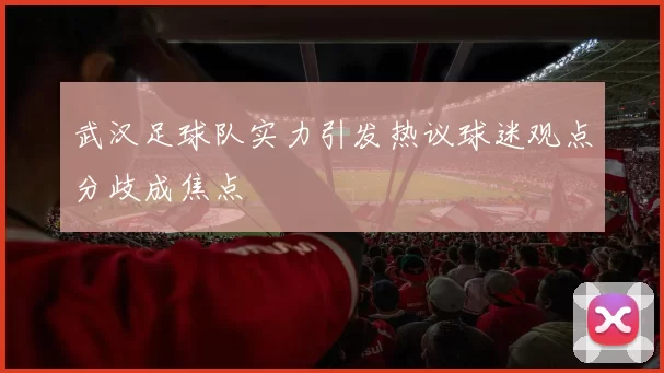 武汉足球队实力引发热议球迷观点分歧成焦点