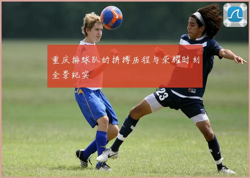 重庆排球队的拼搏历程与荣耀时刻全景纪实