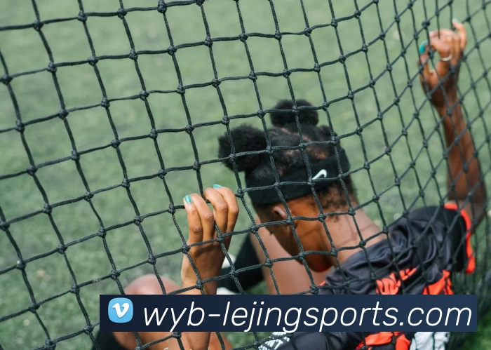 乐竟官网发展历程