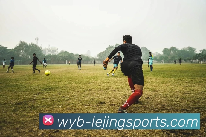 适合家庭使用的实用健身器材盘点